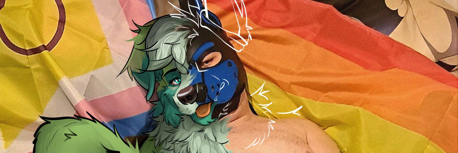 spliteNSFW banner