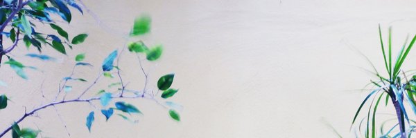 RafyQ Profile Banner