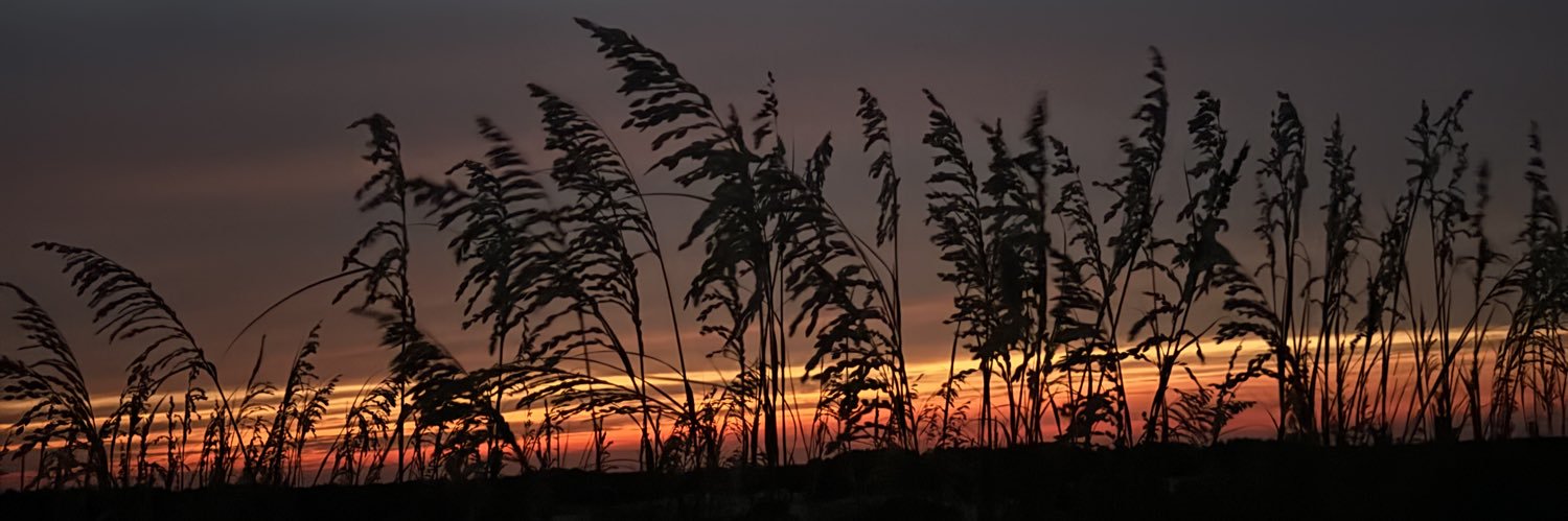 mspriggs_20's profile banner image