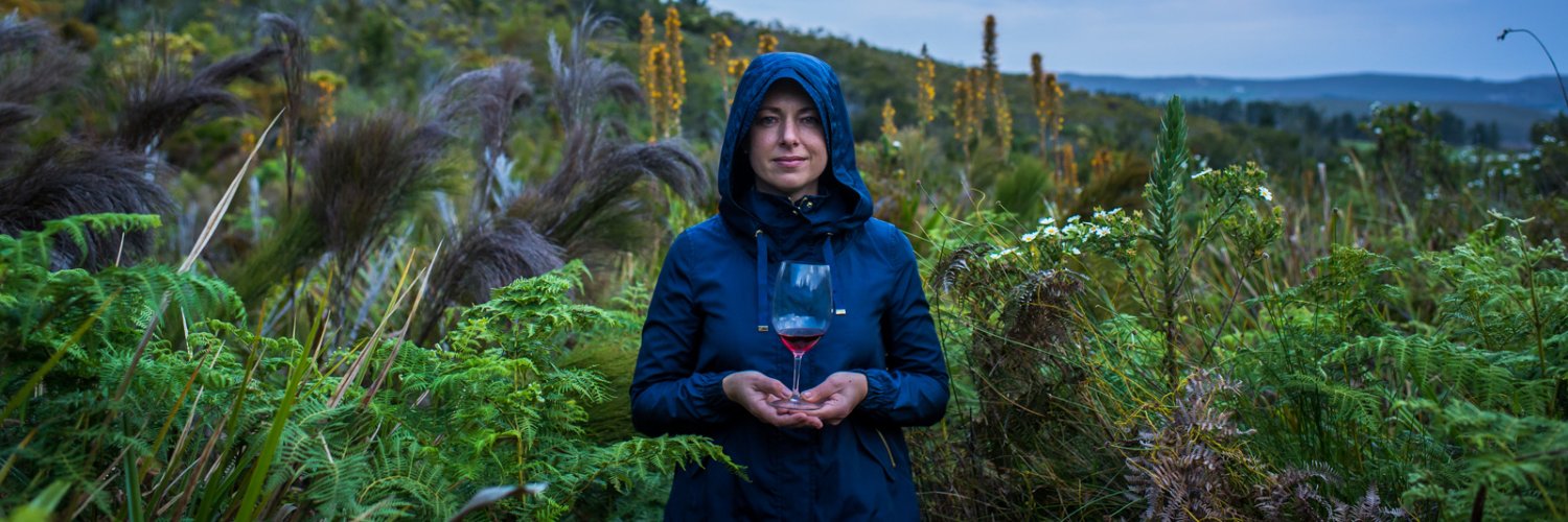 Corlea Fourie banner