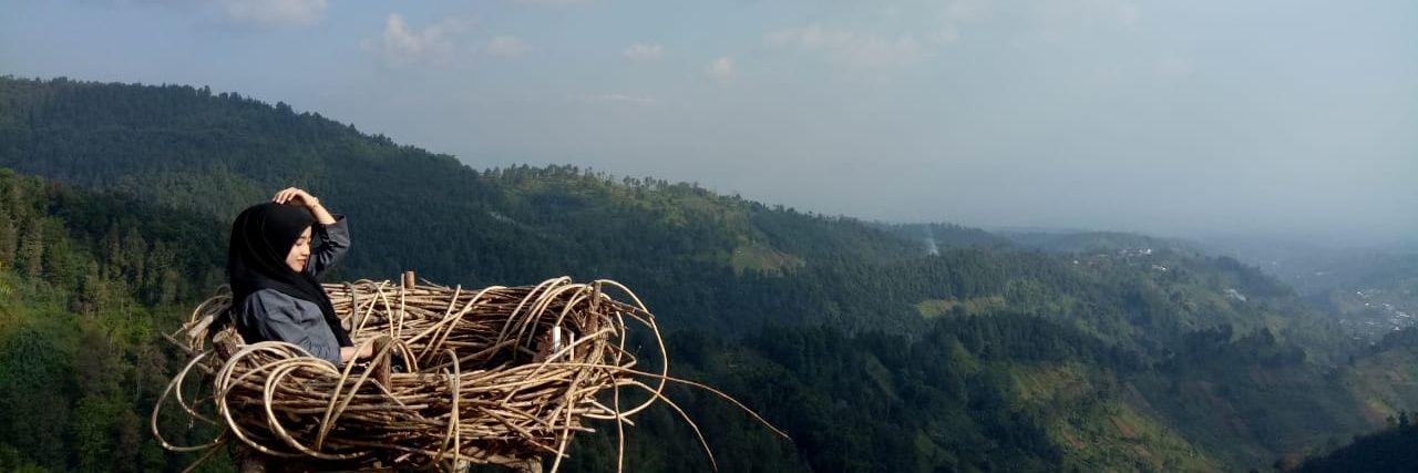 Diandra🌻 banner