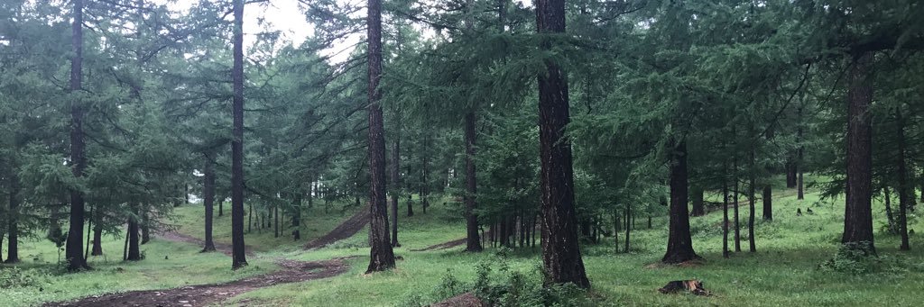 azbileg78's profile banner image
