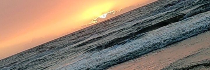 LauraEcco1's profile banner image