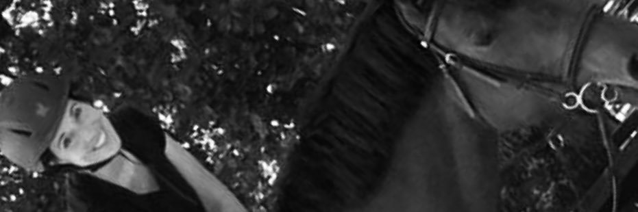 Michelle Briggs banner