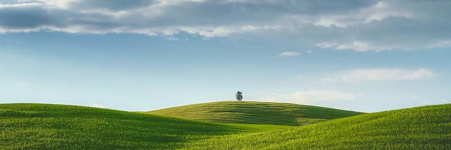 t_tanaskovic's profile banner image