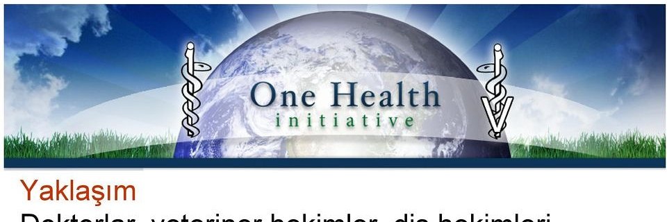 hrnofis's profile banner image