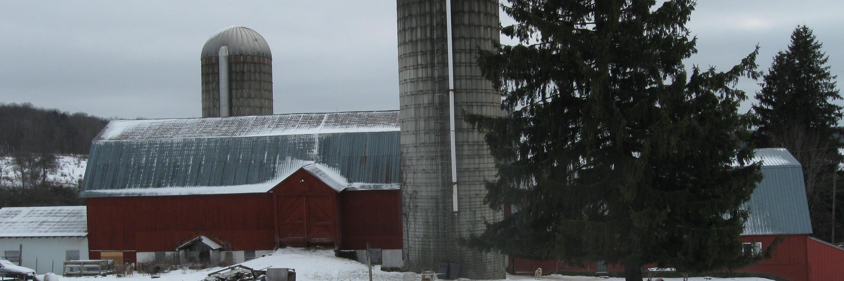 maggiesfarm's profile banner image