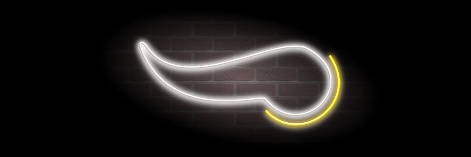 89turtle's profile banner image