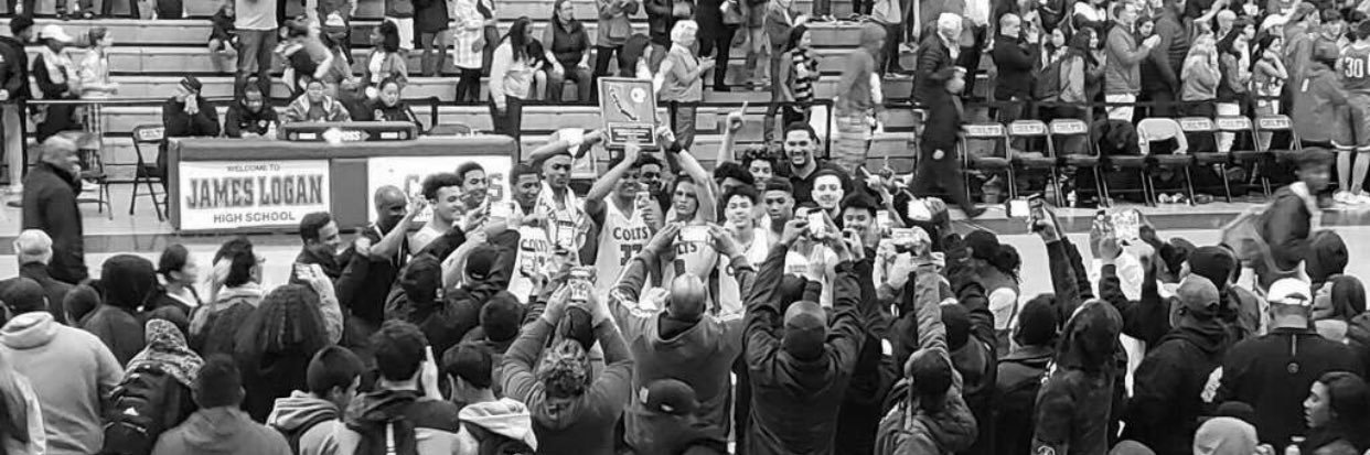 MALCOLM STEADMAN🌴 banner