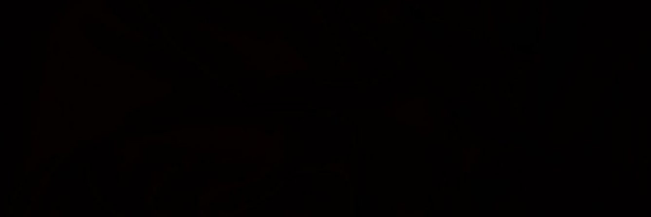 Khorshed Alam banner