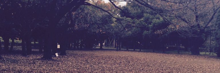1210dog's profile banner image