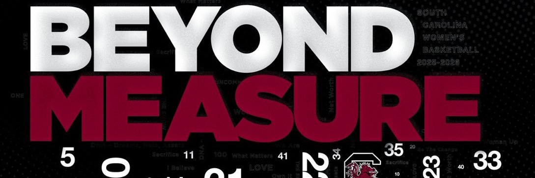 WNBAGamecocks banner