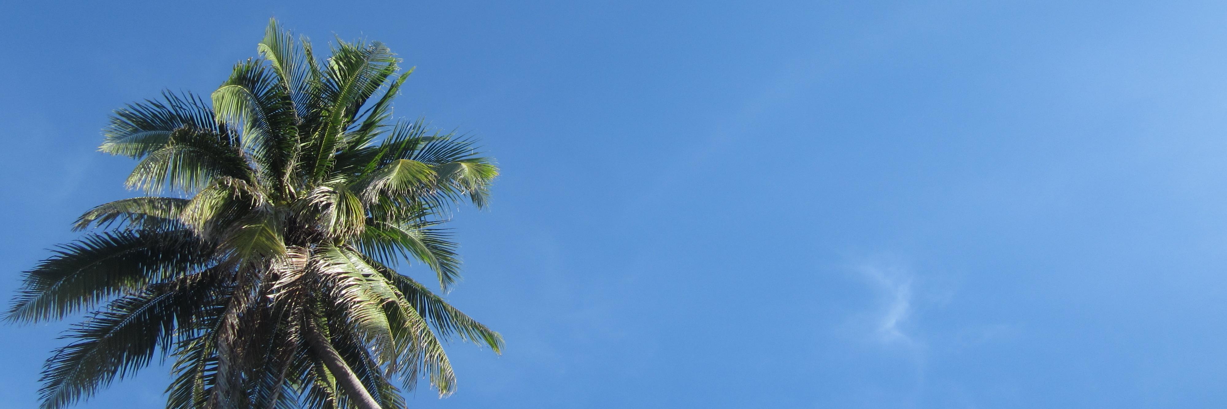 syartikaaa's profile banner image