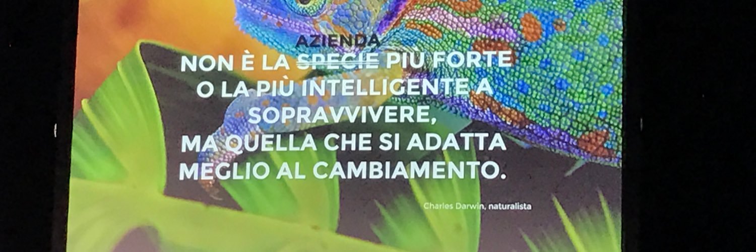 ElenaMerico's profile banner image