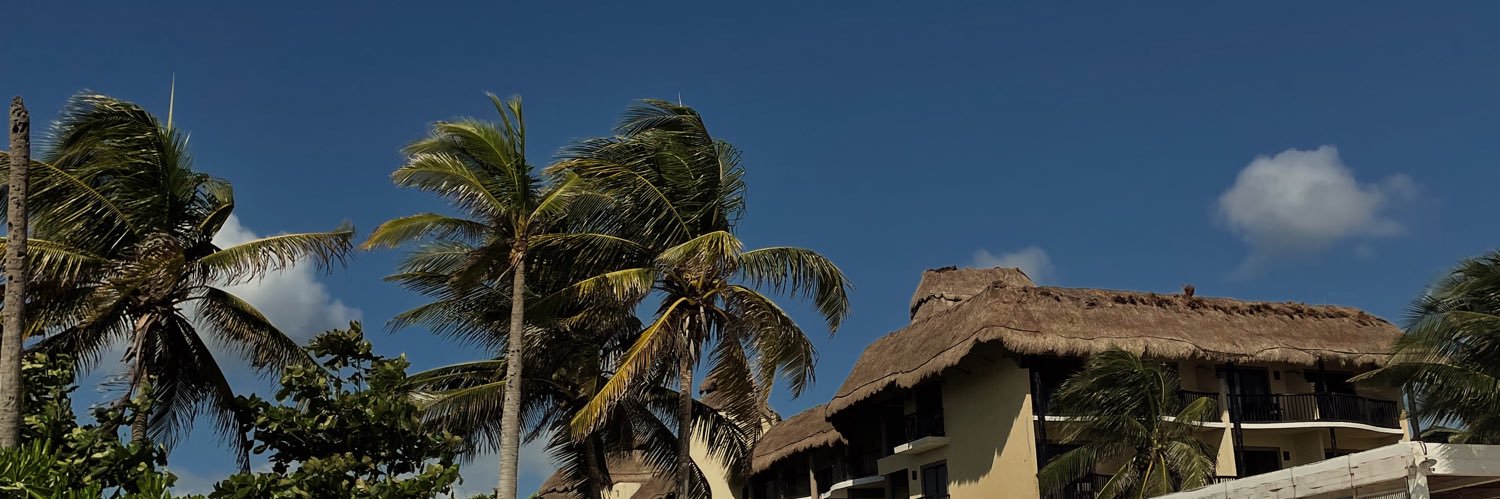 alefloressssm's profile banner image