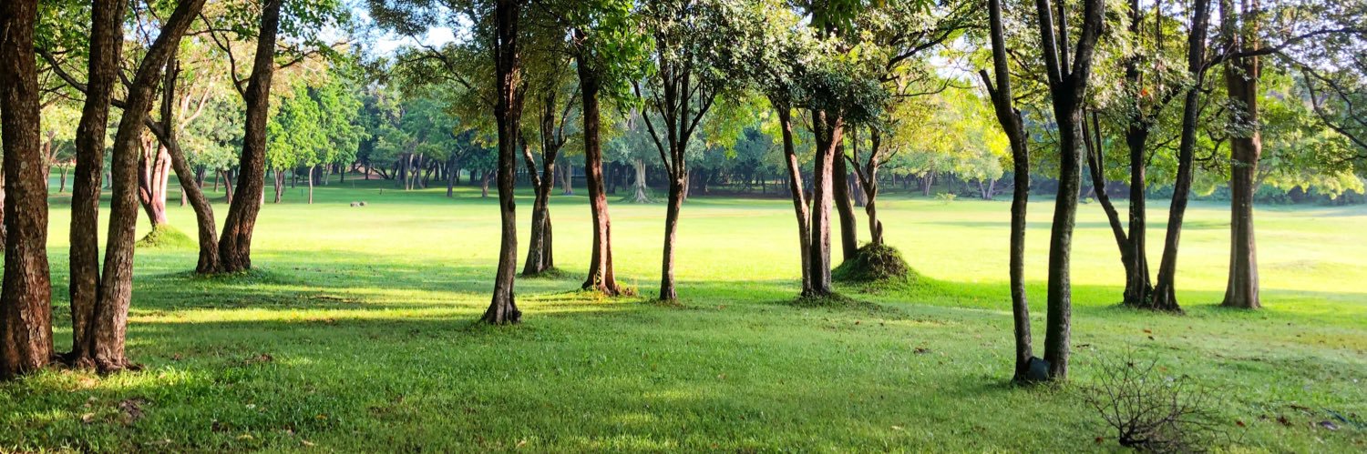 Lady Klaus ☘️ banner