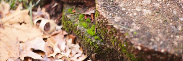 Crissy Profile Banner