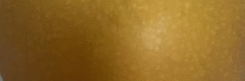 林娅 banner