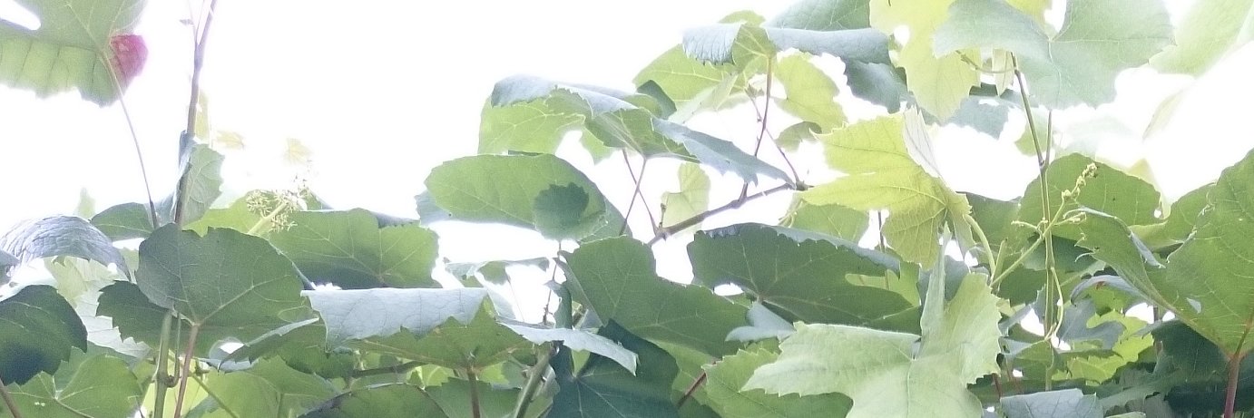 marbeekje's profile banner image