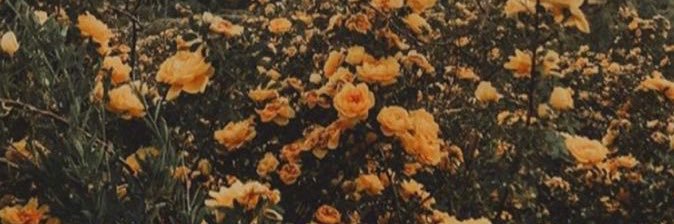 hichwlndr's profile banner image