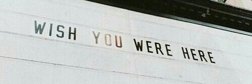 vi  banner