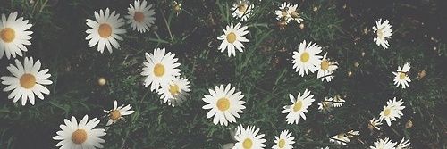 florpwr_'s profile banner image