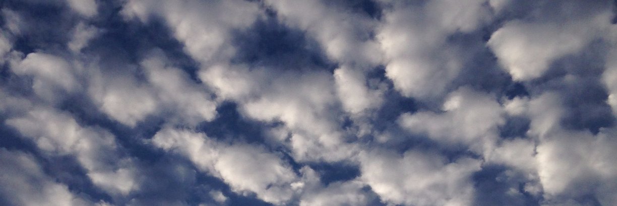 Candice Thompson banner