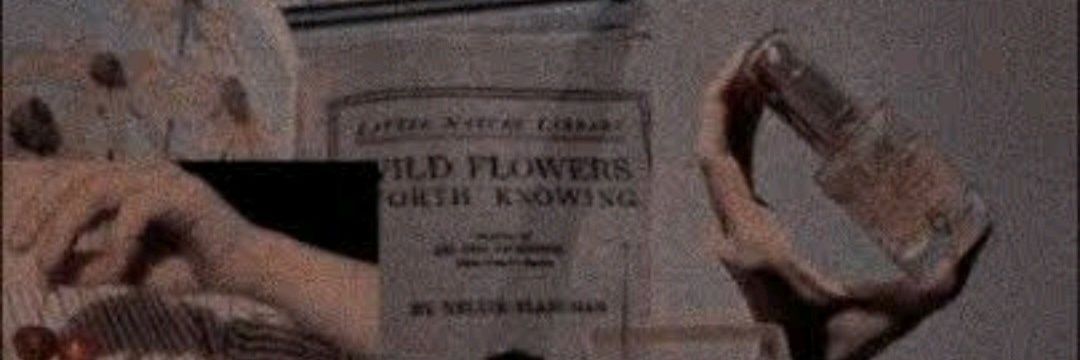 maudymds's profile banner image