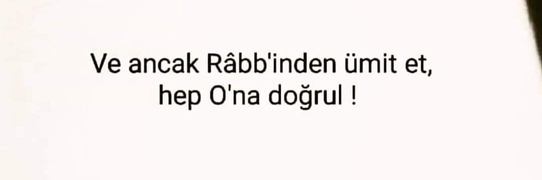 meralmertoglu's profile banner image