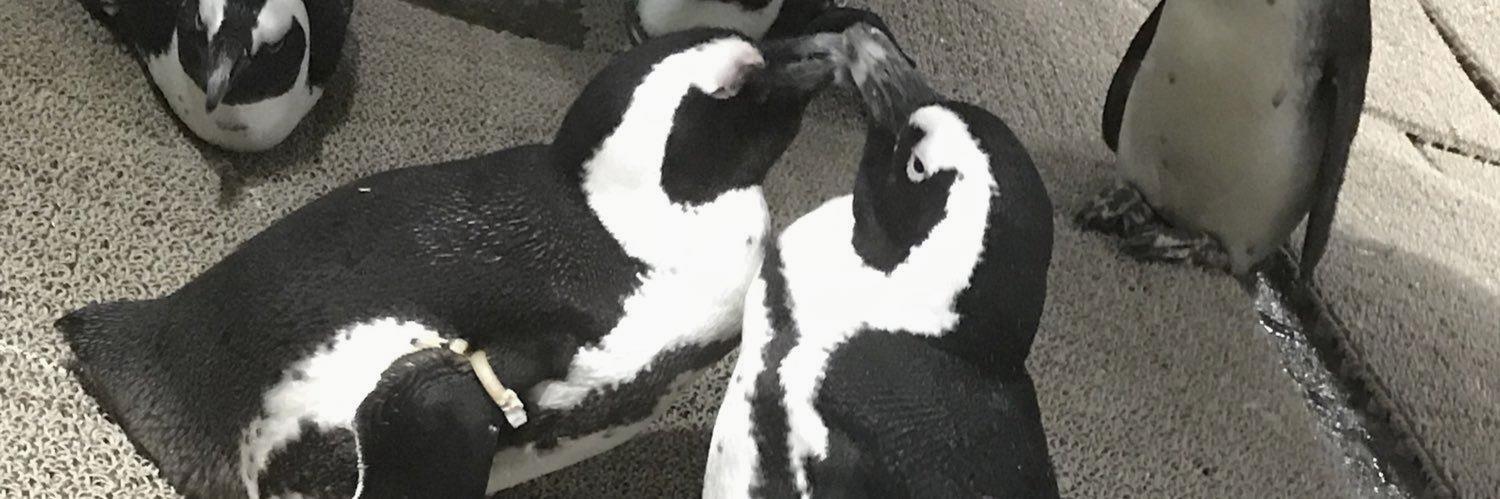 yksang's profile banner image