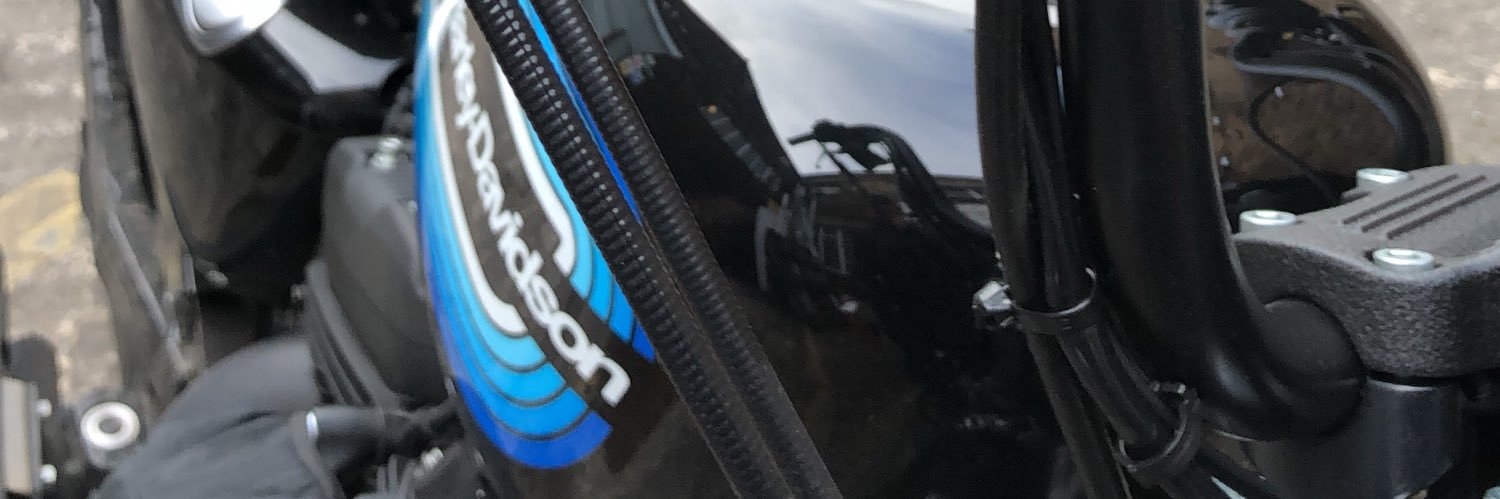 FocusMeg's profile banner image