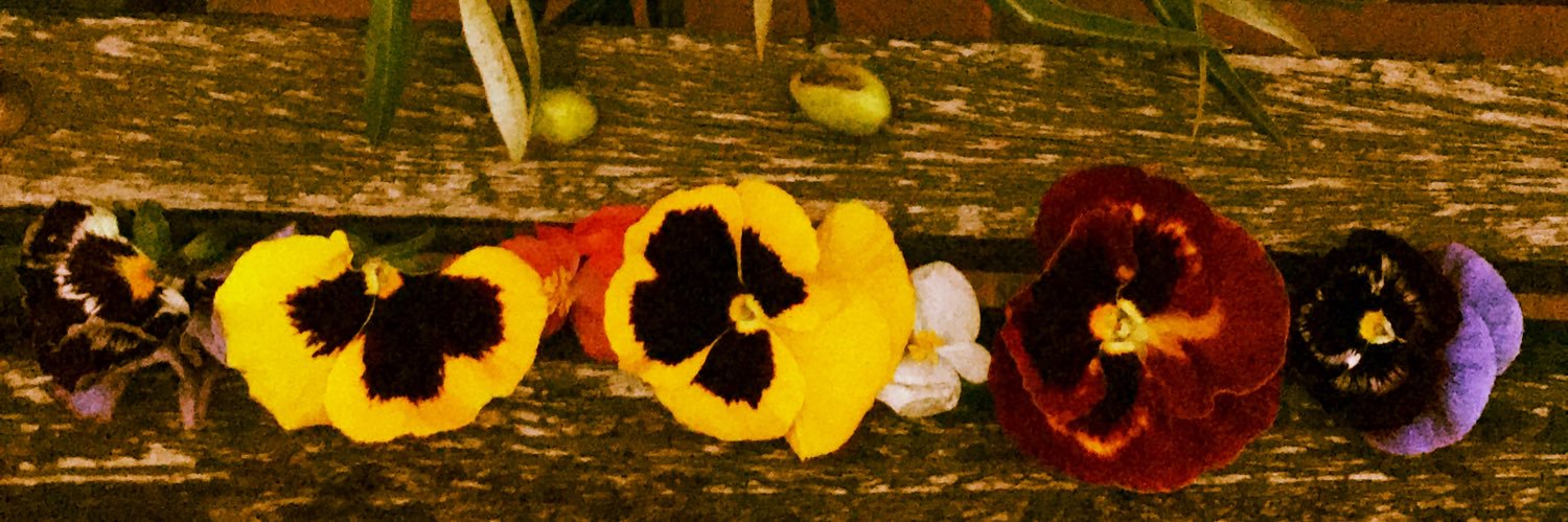 alefigueiras's profile banner image