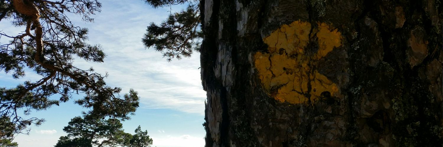 yodanfer's profile banner image