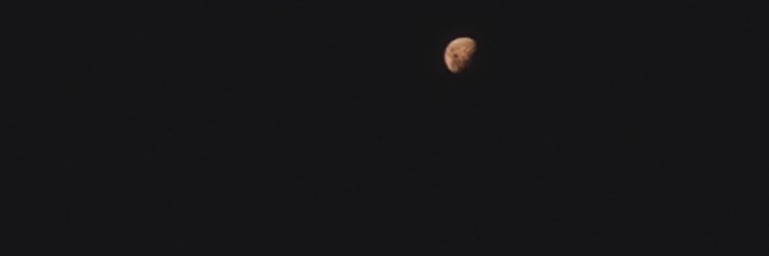zizii banner