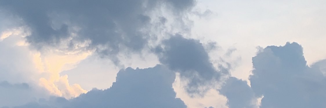 m n banner