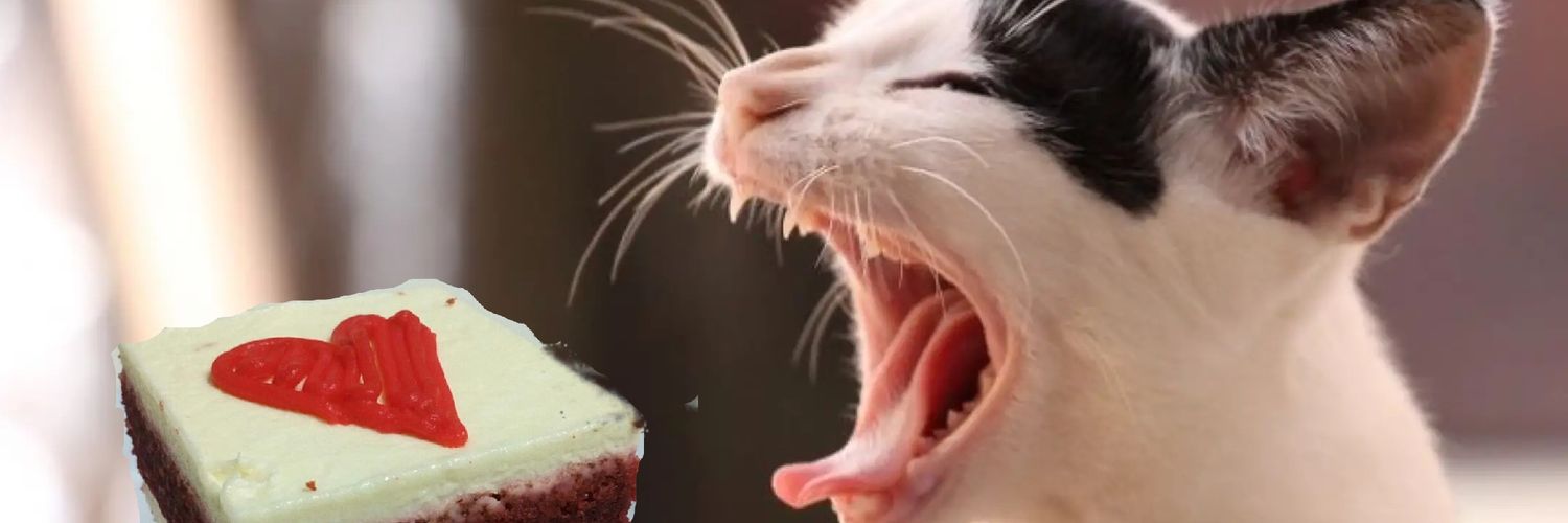 seritalamcatcaf's profile banner image