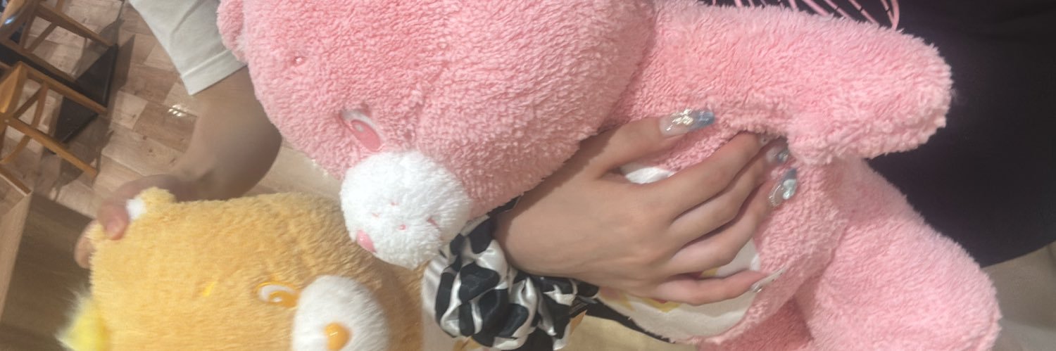🐈🎀 banner