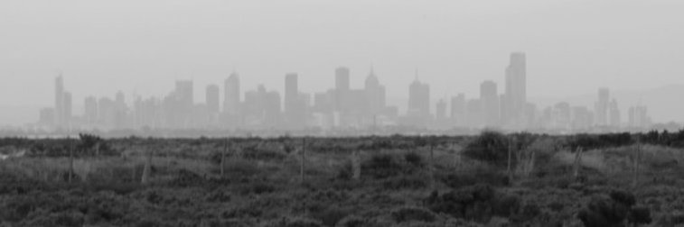 WilliamsLach's profile banner image