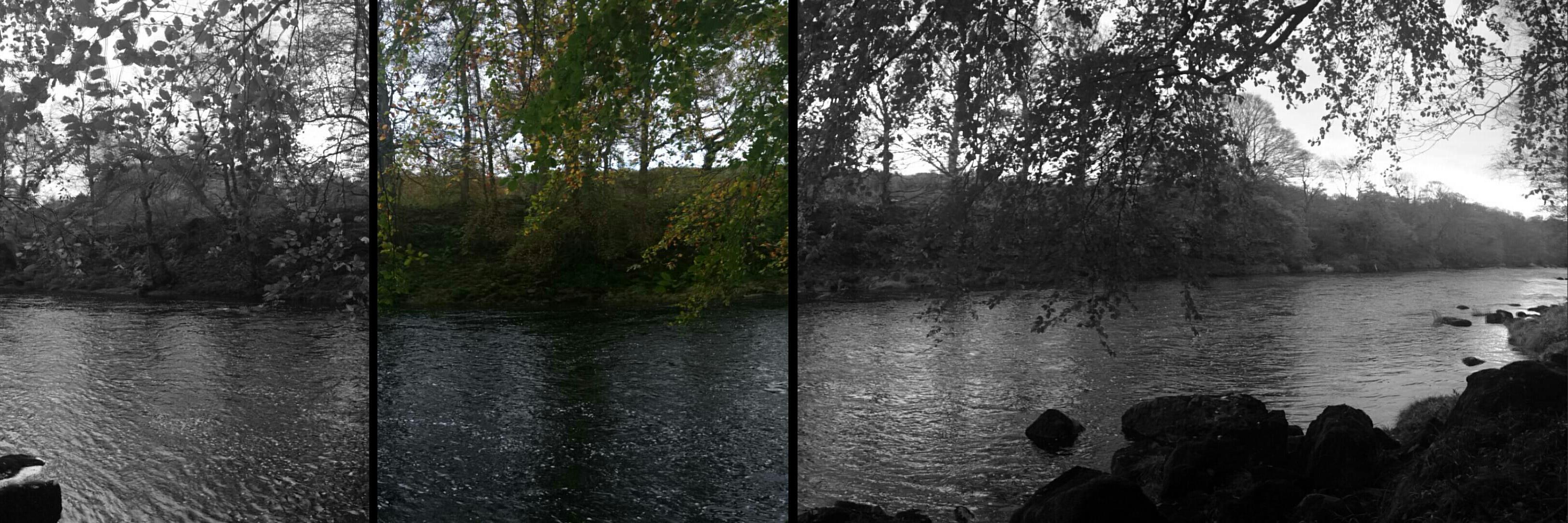 The Laundry Gallery banner