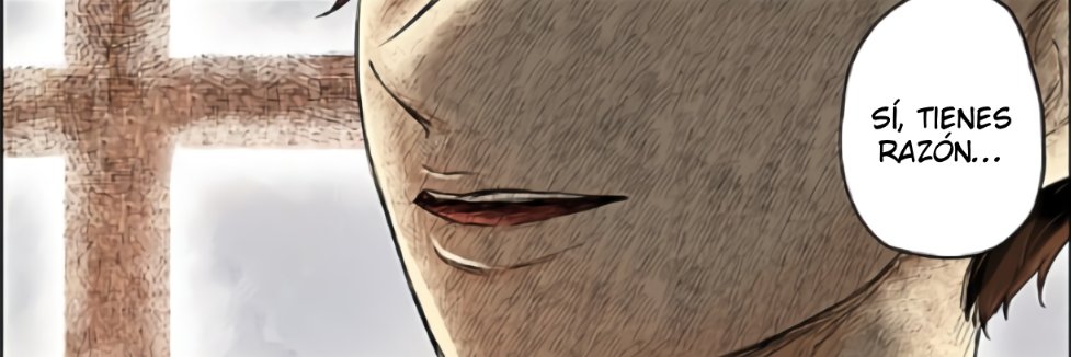 Voromo banner