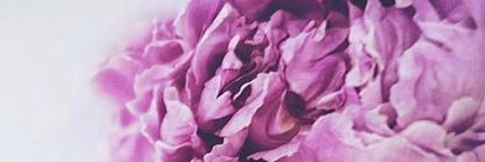 Feelshopping's profile banner image