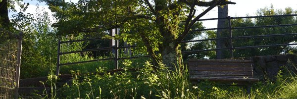 GRESHIMAkun Profile Banner