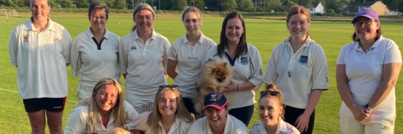 Whitland Ladies Cricket banner