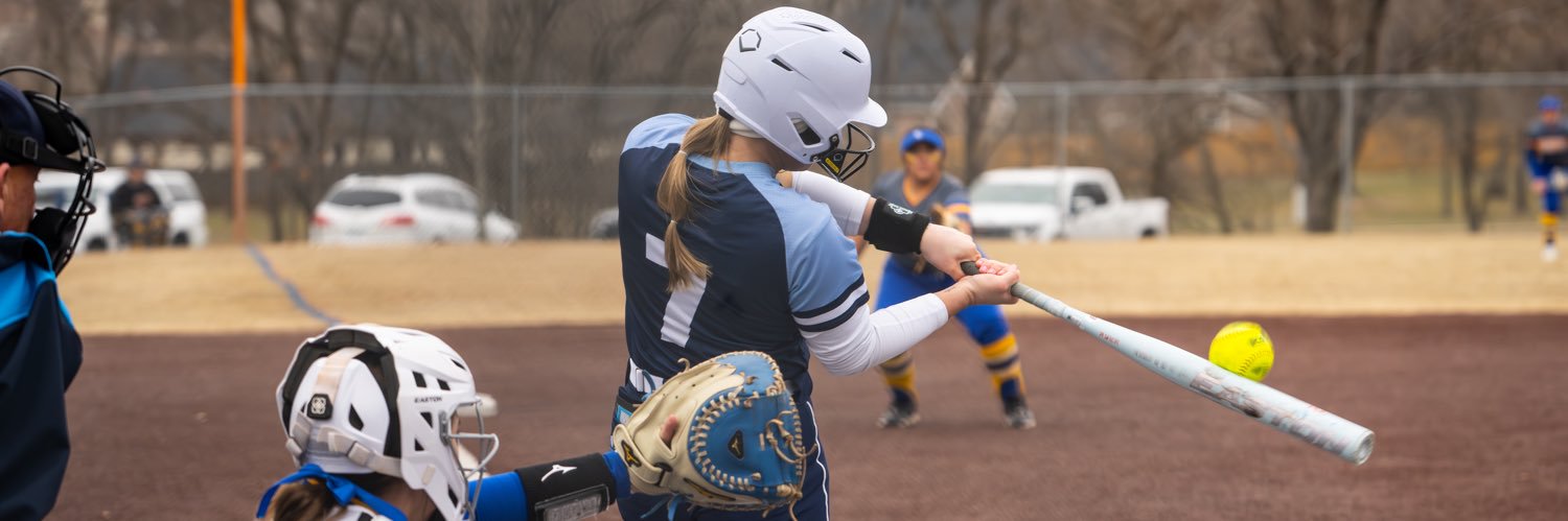 Dalaney Anderson banner