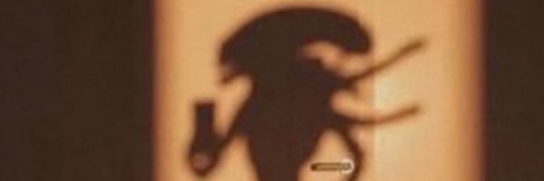 acechhh Profile Banner