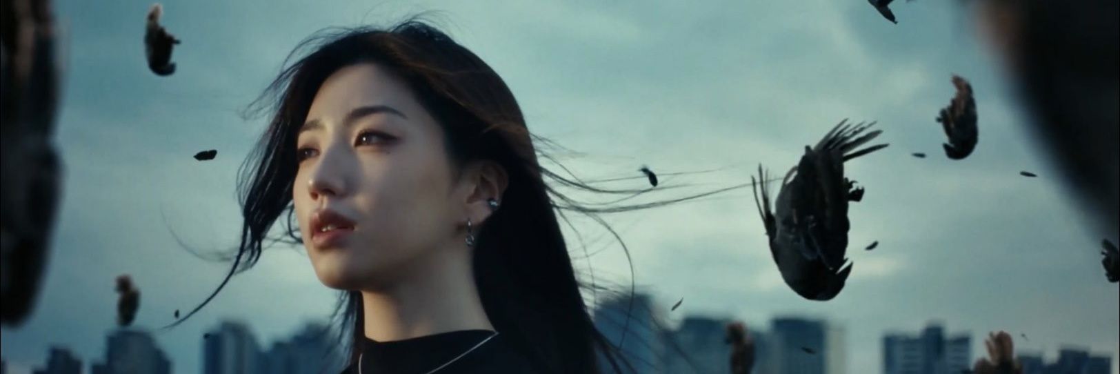 mise-en-scene banner