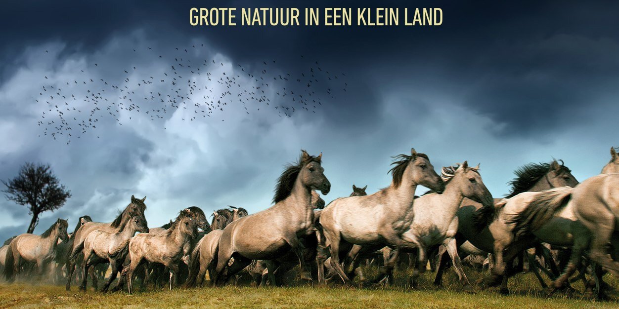 Mooi Flevoland banner