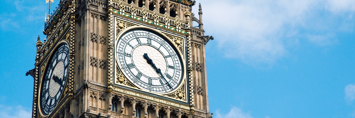 BISA Foreign Policy Working Group banner