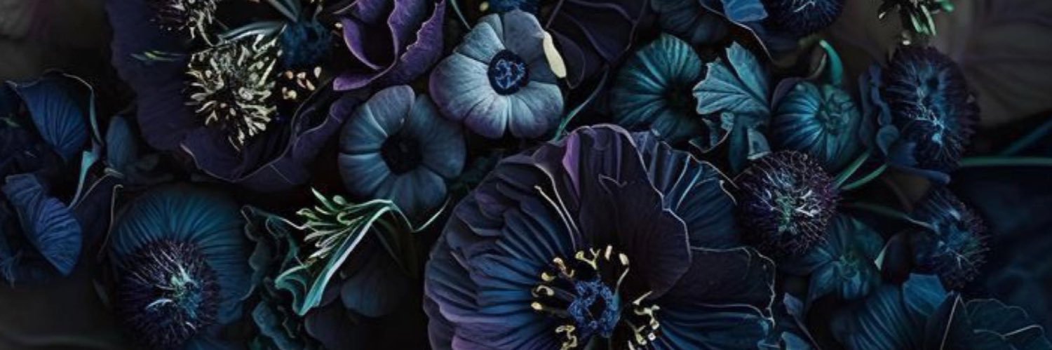 🪻☁︎ ☽ ShaeBurn ☾ ☁︎🪻 banner