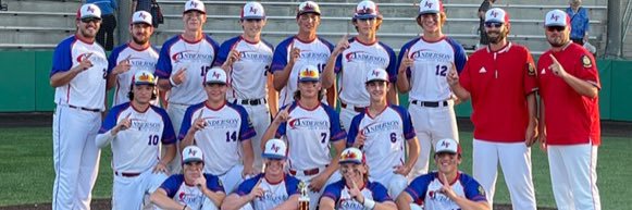 AF Varsity Baseball banner